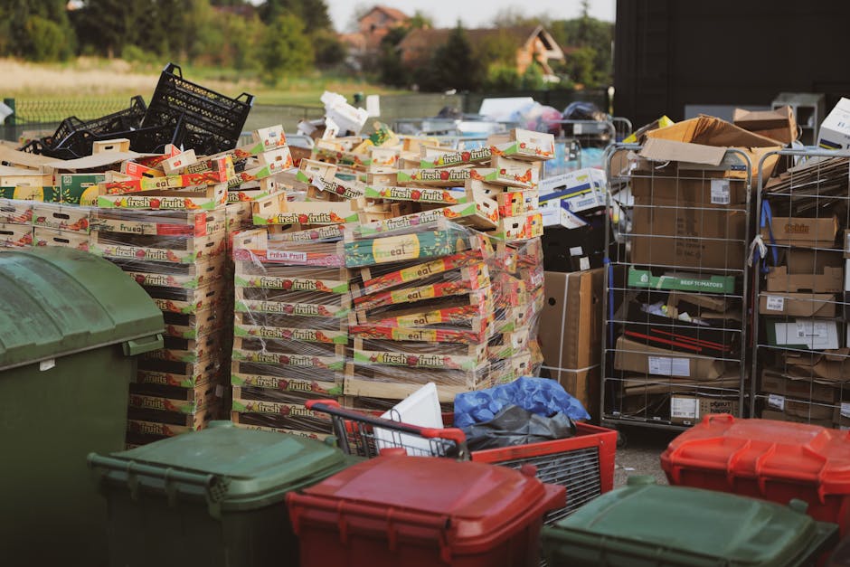https://rubbishcollectionbromley.co.uk/blog/avoid-hidden-fees-in-bromley-rubbish-collection-quotes/